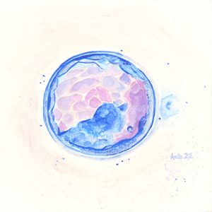 Embryoart blue (2022)